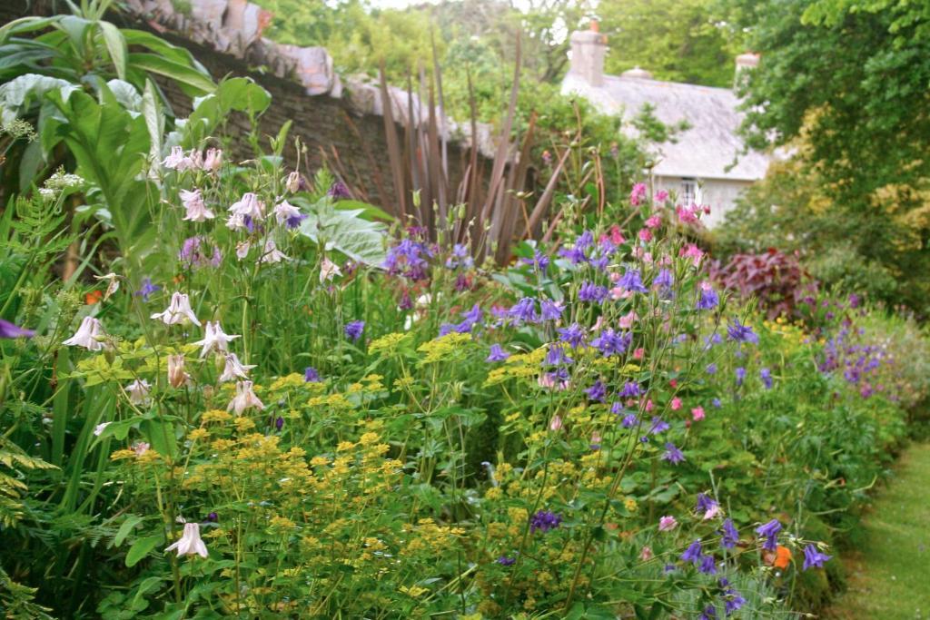 The Old Rectory Bed & Breakfast Boscastle Luaran gambar